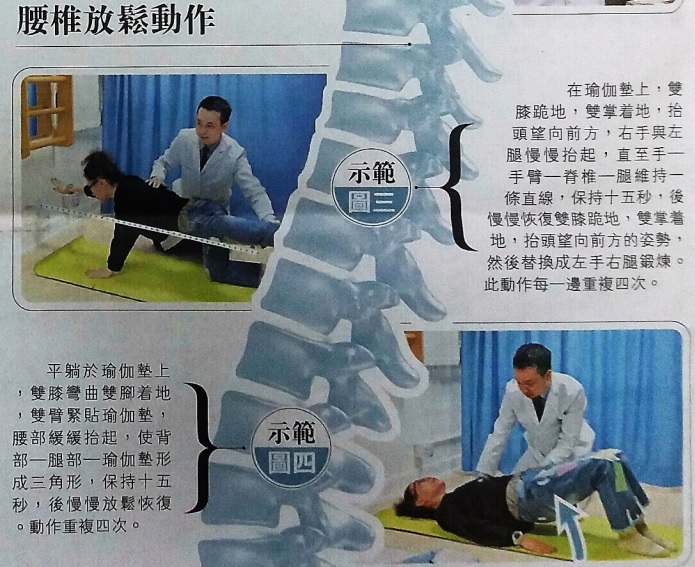 脊醫教授腰部運動